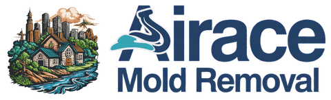 Airace Mold Removal
